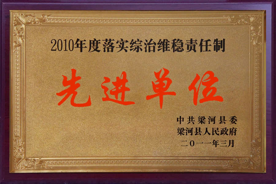 2010CξSMλ